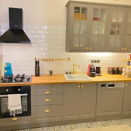 Historical And Elegantly Furnished Big House In Galata *