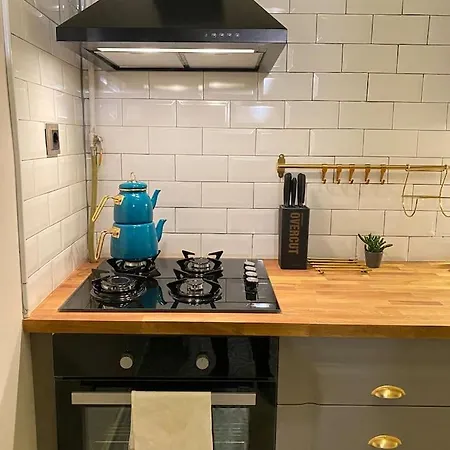 Apartment Historical And Elegantly Furnished Big House In Galata Istanbul