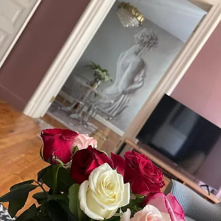 아파트 Historical And Elegantly Furnished Big House In Galata 이스탄불